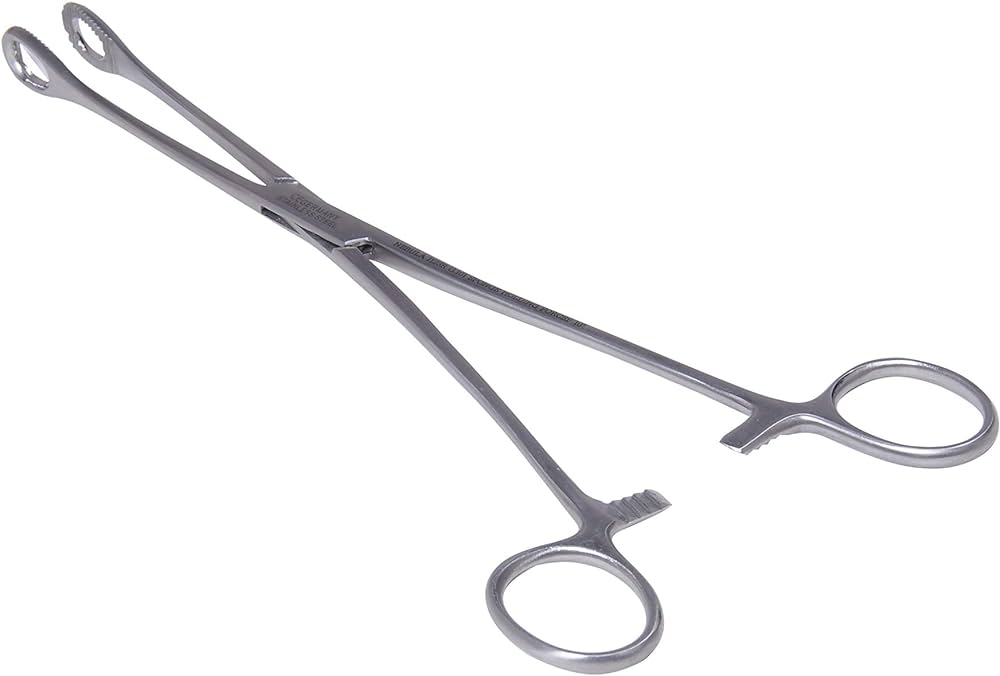 Sponge Holding Forceps 8"/ 10"